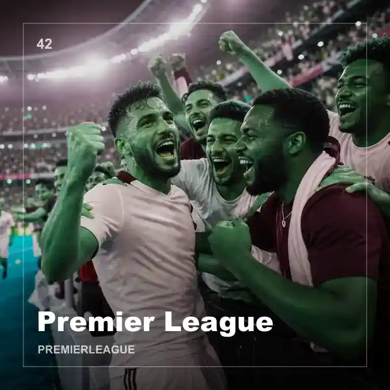 Premier League 合作伙伴 logo